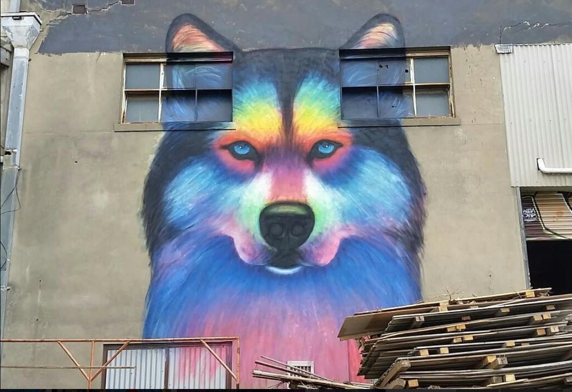 Street art wolf findingskeepingsseekings